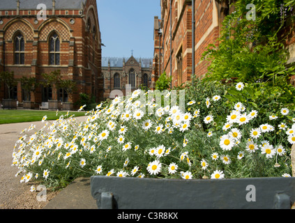 Oxford bathed in sunshine in the spring,a colourful place to visit or study,keble has very distinctive brickwork.