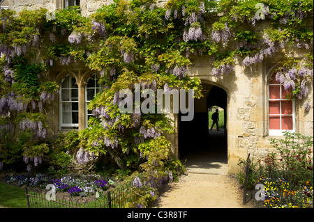 Oxford bathed in sunshine in the spring,a colourful place to visit or study,Worcester College is one of the prettiest