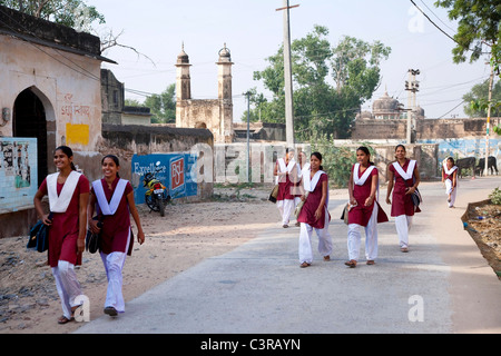 mandawa, rajasthan, india, asia Stock Photo