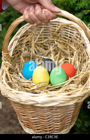 Eggs in a basket in the olympic colours Stock Photo