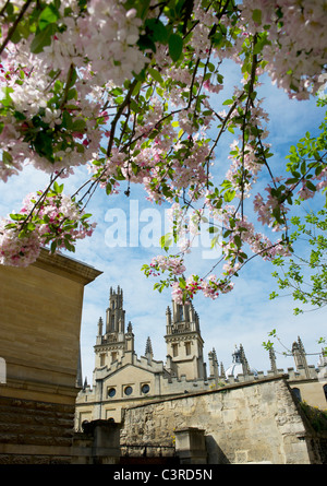 Oxford bathed in sunshine in the spring,a colourful place to visit or study,down Queens Lane you can see the back of All Souls