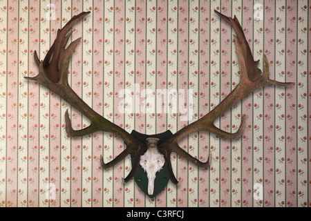 Hans Hunting Wallpaper - a Royalty Free Stock Photo from Photocase