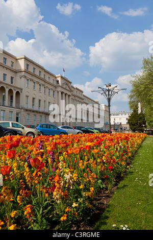 Terrace of Georgian houses and the Cheltenham Borough Municipal Offices Cheltenham Spa Gloucestershire England GB UK EU Stock Photo