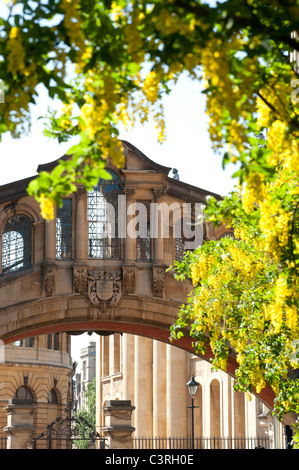 Spring in Oxford and the University looks great in the colours Stock Photo