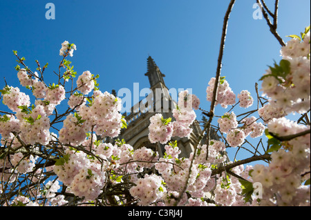 Spring in Oxford and the University looks great in the colours Stock Photo