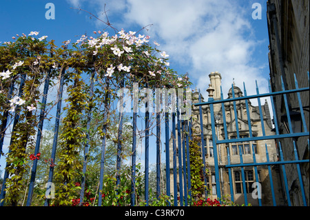 Spring in Oxford and the University looks great in the colours,on the railings at Trinity College Stock Photo