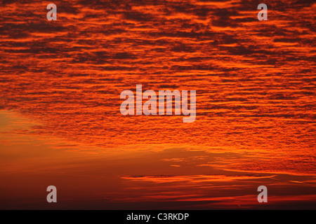 Red evening sky Stock Photo