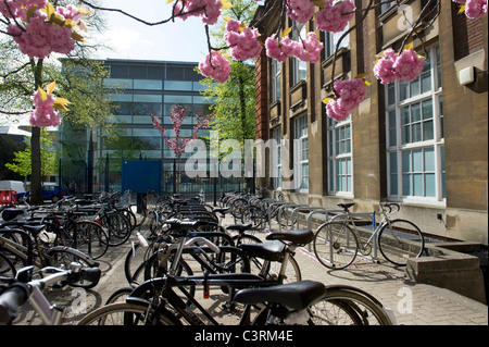 Spring in Oxford and the University looks great in the colours,here the science area Stock Photo