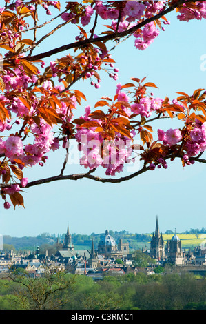 Spring in Oxford and the University looks great in the colours,seen from the south Stock Photo