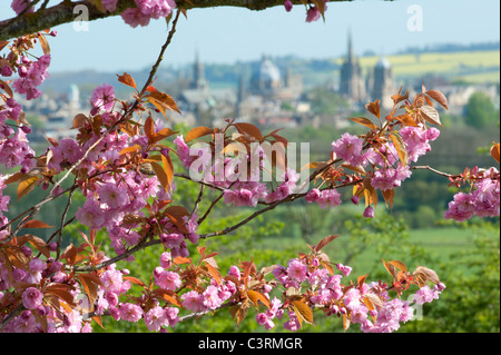 Spring in Oxford and the University looks great in the colours,seen from the south Stock Photo