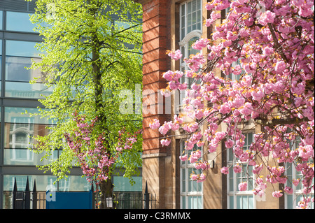 Spring in Oxford and the University looks great in the colours,here the science area and the new Chemistry building. Stock Photo