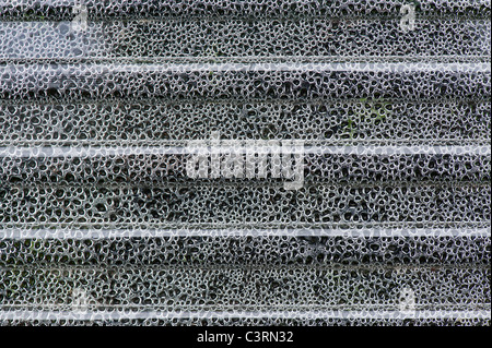 Condensation on a corrugated plastic sheet covering vegetable seedlings Stock Photo