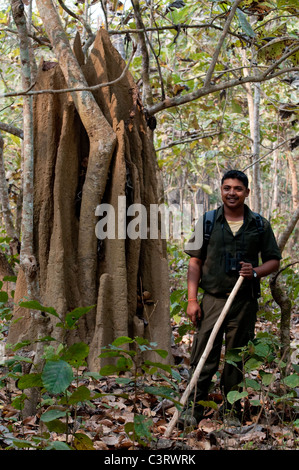 Guide stands beside a termite mound in the monsoonal Terai woodlands of Chitwan National Park Stock Photo