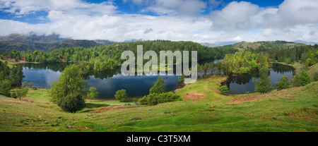 Tarn Hows. Lake District National Park. Cumbria. England. UK. Stock Photo