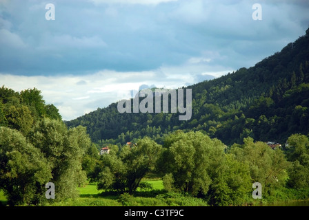 Green mountain forest. Czech Republic Stock Photo