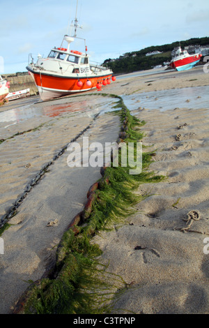 Sea weed clinging to a mooring chain, St Ives Harbour, Cornwall Stock Photo