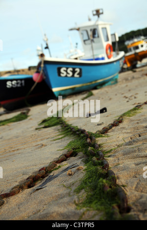 Sea weed clinging to a mooring chain, St Ives Harbour, Cornwall Stock Photo