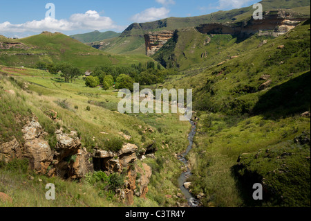 Scenery with Brandwag Buttress, Golden Gate Highlands National Park, South Africa Stock Photo