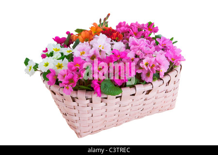 Basket of Pink Flowers Stock Photo