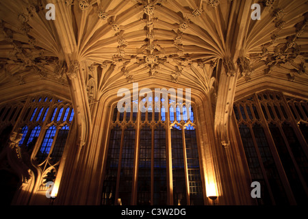 Inside the Divinity School at the Bodleian Library, Oxford University, England Stock Photo