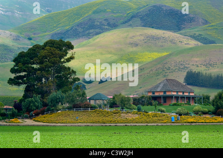 El Rincon Adobe and green hills in Spring at Talley Vineyards, Edna Valley, San Luis Obispo County, California Stock Photo