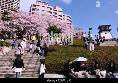 Busy Sumida River Bank in Spring Stock Photo