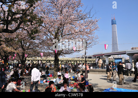 Sumida Park with Tokyo Sky Tree in Background Stock Photo