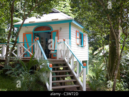Fig Tree Drive Gallery in Antigua Stock Photo - Alamy