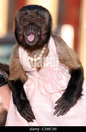 CRYSTAL THE HANGOVER PART 2. LOS ANGELES PREMIERE. WARNER BROS PICTURES HOLLYWOOD LOS ANGELES CALIFORNIA USA 19 May 2011 Stock Photo