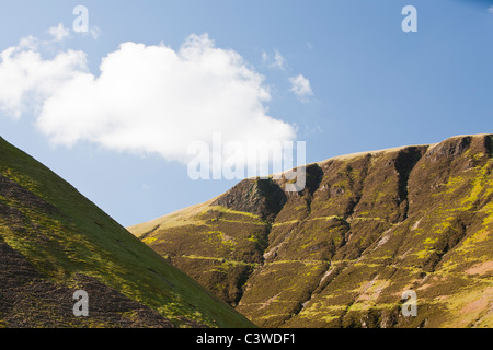 Moorland vegetation near the famous Grey Mares Tail waterfall, above Moffat in the Scottish Southern Uplands, UK. Stock Photo