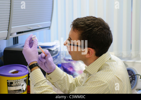 Doctor draws up a vaccine into a hypodermic syringe prior to administration to a patient. Stock Photo