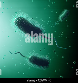 Illustration of bacteria with a human cell in the background. Bacteria ...