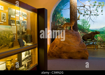 Natural history exhibit at the Ojai Valley Museum, Ojai, California Stock Photo