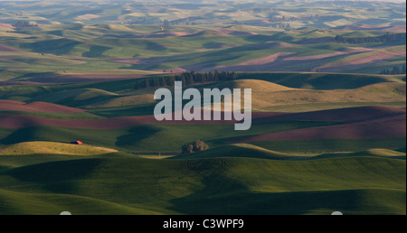 Palouse Fields Viewed From Steptoe Butte and Crop Duster, Eastern Washington Stock Photo