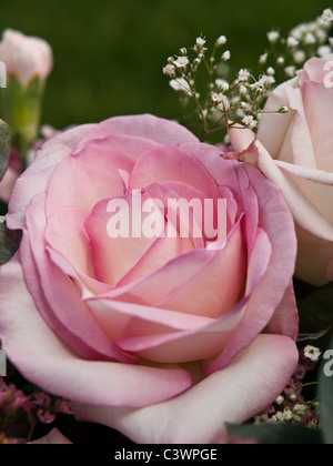 Pink flower bouquet with roses, baby's breath, and a carnation bud. Stock Photo