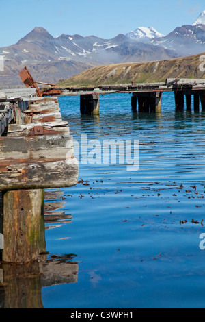 The ruins of the old wharf at Grytviken, South Georgia Island Stock Photo