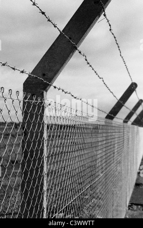 Barbed wire topped concrete & wire mesh fence in black and white Stock Photo
