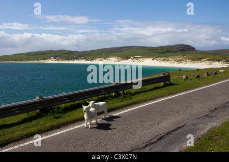 isle of vatersay outer hebrides western isles scotland Stock Photo