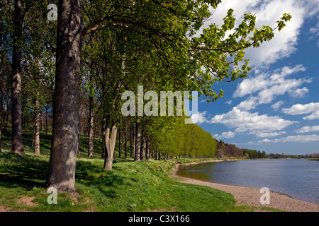 Springtime view along the River Tweed near Paxton House, Berwickshire, Scottish Borders Stock Photo