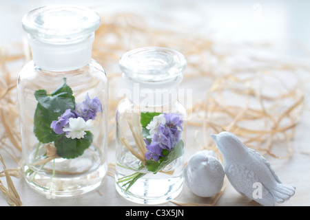Violets in glass bottles Stock Photo
