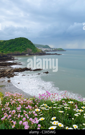 Spring flowers on Rillage Point overlooking Hele Bay, Beacon Point and Ilfracombe. North Devon, England. Stock Photo