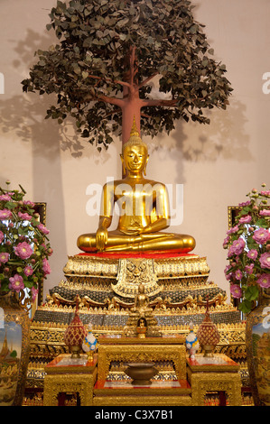 Wat Pho Temple, Bangkok - sitting Buddha under the Bodhi tree Stock Photo