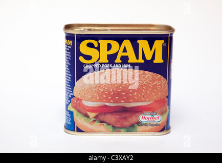 Tin of Spam pork luncheon meat Stock Photo