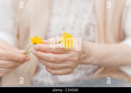 Senior woman holding dandelion