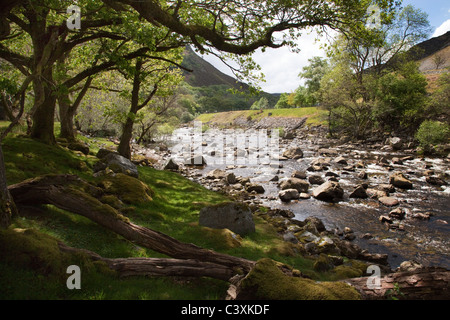 River bed in the Elan Valley, Mid Wales Stock Photo