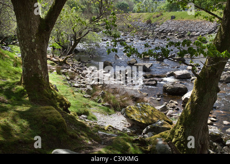 River bed in the Elan Valley, Mid Wales Stock Photo