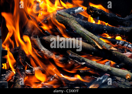 High detail wood fire burning Stock Photo