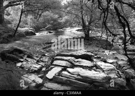 River bed in the Elan Valley, Mid Wales Stock Photo