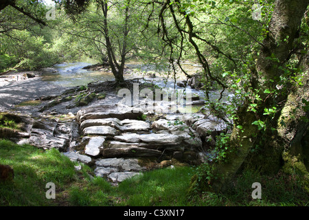 River bed in the Elan Valley, Mid Wales Stock Photo