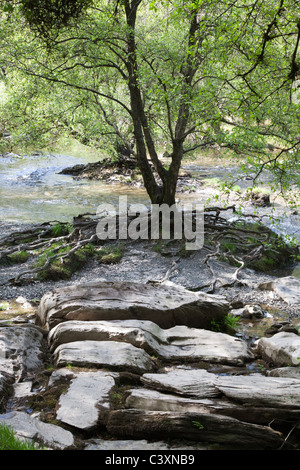 River bed in the Elan Valley, Mid Wales Stock Photo